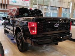 فۆرد F-150